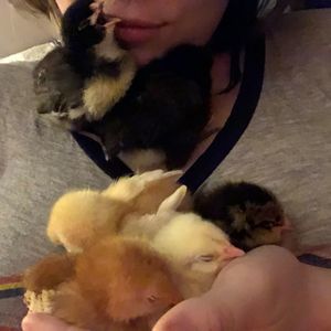 Meet your Posher, Megan